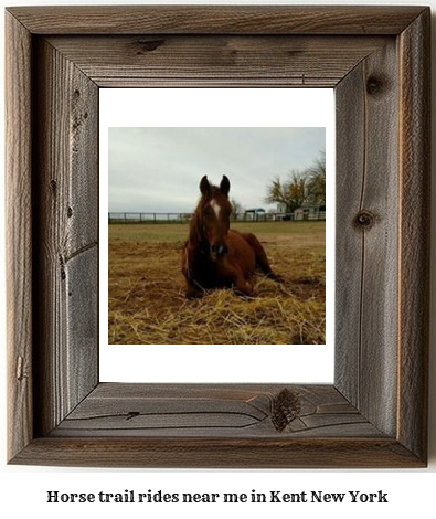 horse trail rides near me in Kent, New York